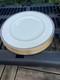 VINTAGE WEDGWOOD PALATIA BONE CHINA DINNER PLATE 10 3/4 INCHES Set 6