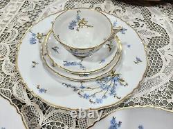 Vintage Haviland Montmery Forget Me Not Porcelain Dinnerware set 40pcs