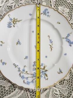 Vintage Haviland Montmery Forget Me Not Porcelain Dinnerware set 40pcs