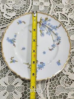 Vintage Haviland Montmery Forget Me Not Porcelain Dinnerware set 40pcs