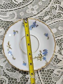 Vintage Haviland Montmery Forget Me Not Porcelain Dinnerware set 40pcs