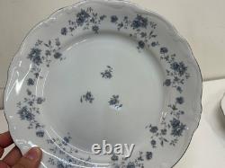 Vintage Johann Haviland Bavarian Porcelain Blue Garland 14 Dinner Plates
