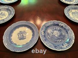 Vintagespode The Blue Room Collection Twelve Victorian Series Dinner Plates#356