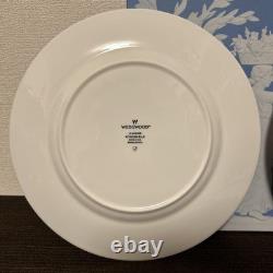 Wedgwood Eurander Powder Ruby Blue Dinner Plate From Japan