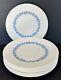 Wedgwood Queensware 2804 Edme Blue Grapes Dinner Plates 10 1/2 Set Of 6