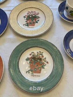 Wedgwood Sarah's Garden 20 Piece Set Service for 4 China Butterfly Dinner Plates