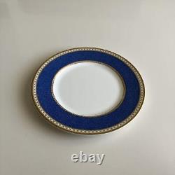 Wedgwood Ulander Powder Blue Dinner Plate Set Of 2