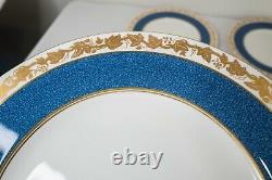 Wedgwood Whitehall Powder Blue Dinner Plates Set of 12 -10 3/4 D Free Shipping