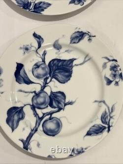 Williams Sonoma ORMONDE Blue Fruits Set Of 4 Dinner Plates 10 3/4 D