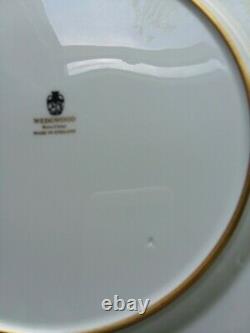 Wow Price! Set Of 4 Rare Wedgwood Columbia Powder Blue 10 7/8 Dinner Plates